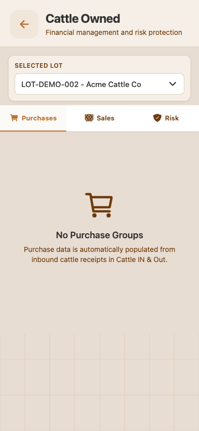 Cattle Owned screen — per-customer inventory of cattle currently in the yard, with head counts and value